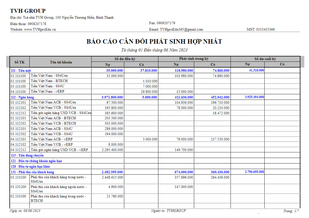Báo cáo cân đối phát sinh hợp nhất